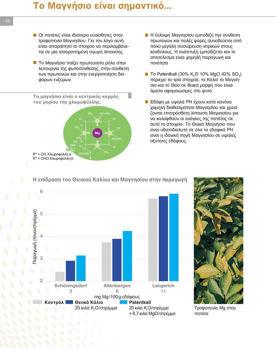 20 H 38 R* = H 3 Χλωροφύλλη a R* = HO Χλωροφύλλη b H 3 H H N H 2 H 2 H OO H H 3 OO H 3 H = H 2 O N Mg N R* N H 2 H3 H 3 H H Η έλλειψη Μαγνησίου εμποδίζη την σύνθεση πρωτεινών και πολές φορές