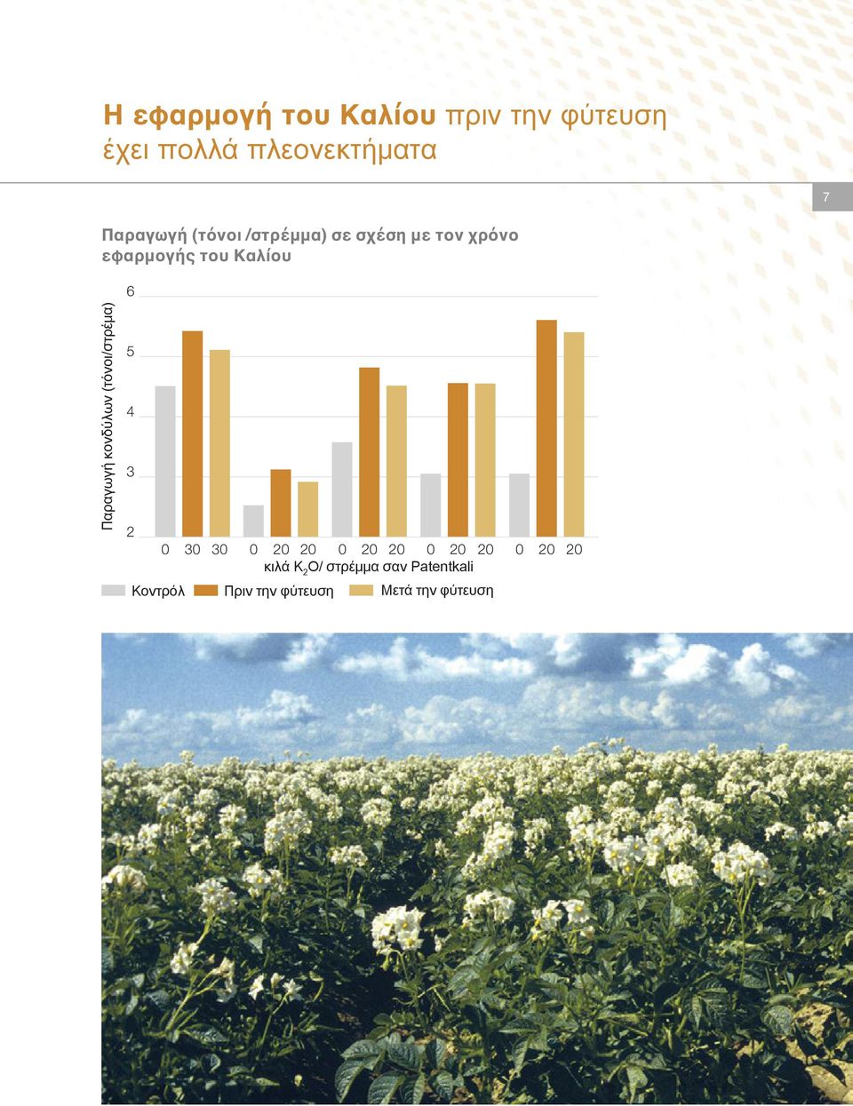 Παραγωγή κονδύλων (τόνοι/στρέμα) 5 4 3 2 0 30 30 0 20 20 0 20 20 0 20 20