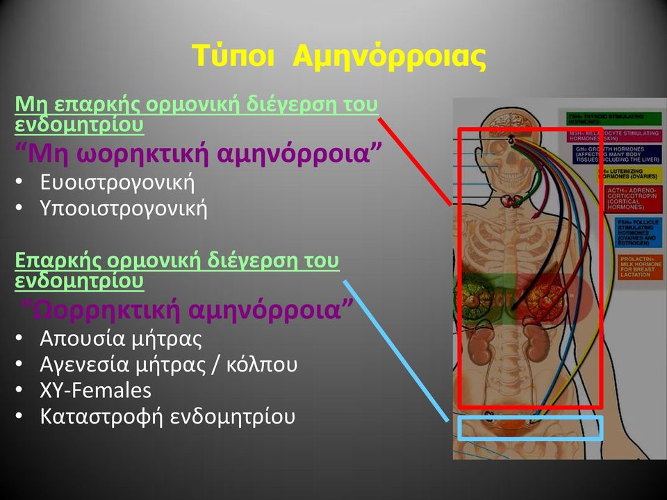 ορμονική διέγερση του ενδομητρίου Ωορρηκτική αμηνόρροια Απουσία