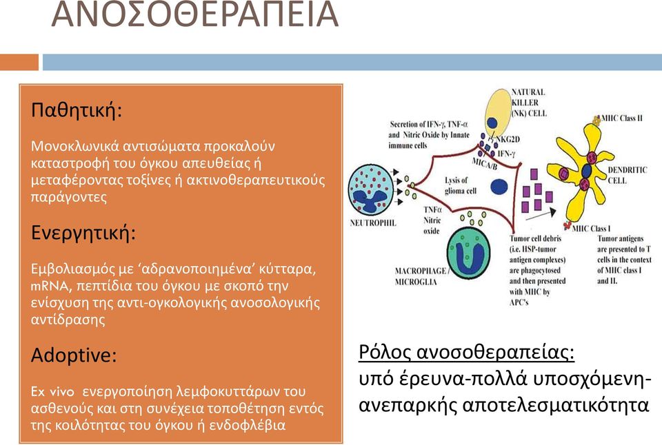 ενίσχυση της αντι-ογκολογικής ανοσολογικής αντίδρασης Adoptive: Ex vivo ενεργοποίηση λεμφοκυττάρων του ασθενούς και στη