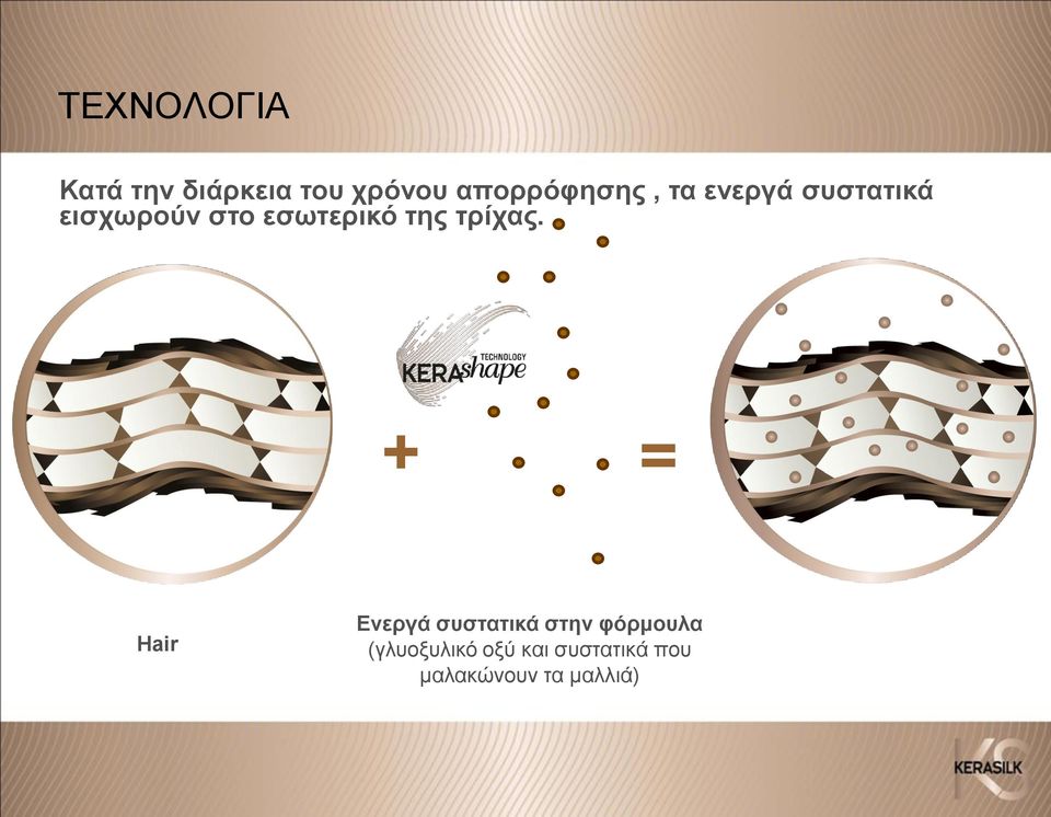 εσωτερικό της τρίχας.