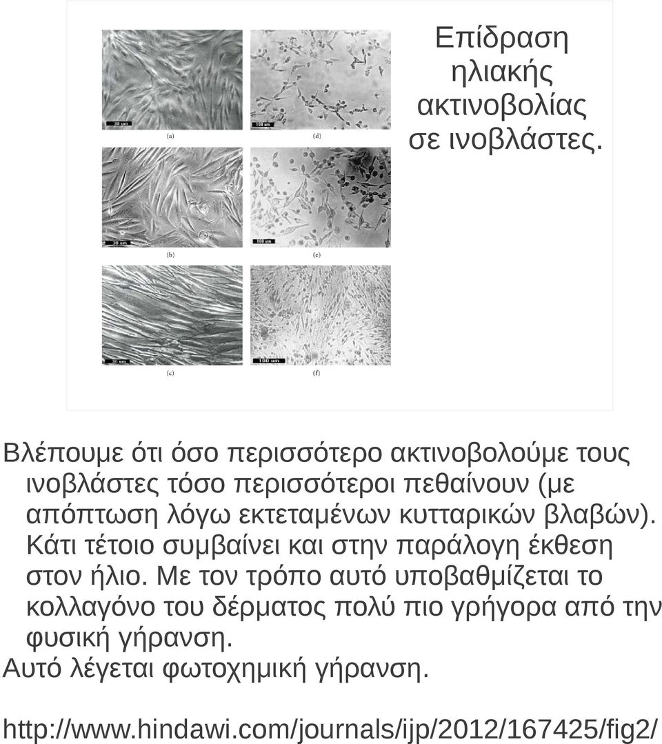 εκτεταμένων κυτταρικών βλαβών). Κάτι τέτοιο συμβαίνει και στην παράλογη έκθεση στον ήλιο.