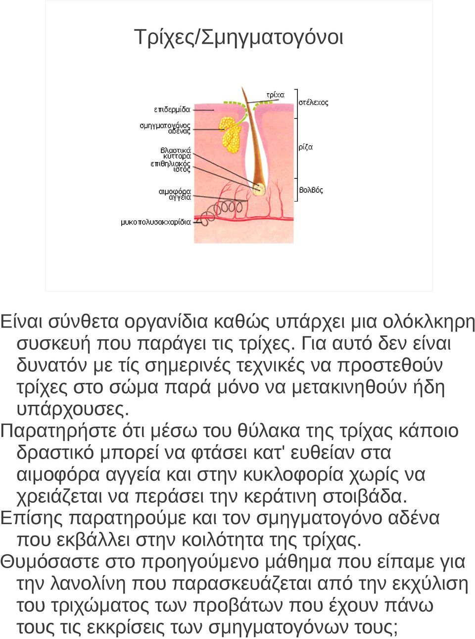 Παρατηρήστε ότι μέσω του θύλακα της τρίχας κάποιο δραστικό μπορεί να φτάσει κατ' ευθείαν στα αιμοφόρα αγγεία και στην κυκλοφορία χωρίς να χρειάζεται να περάσει την