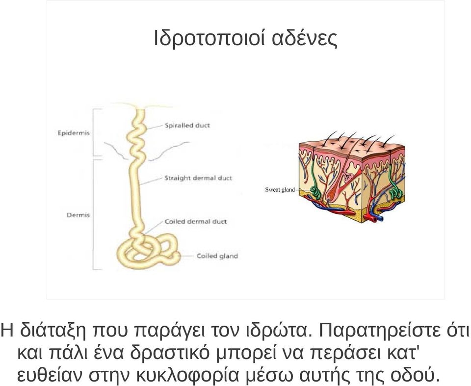 Παρατηρείστε ότι και πάλι ένα δραστικό