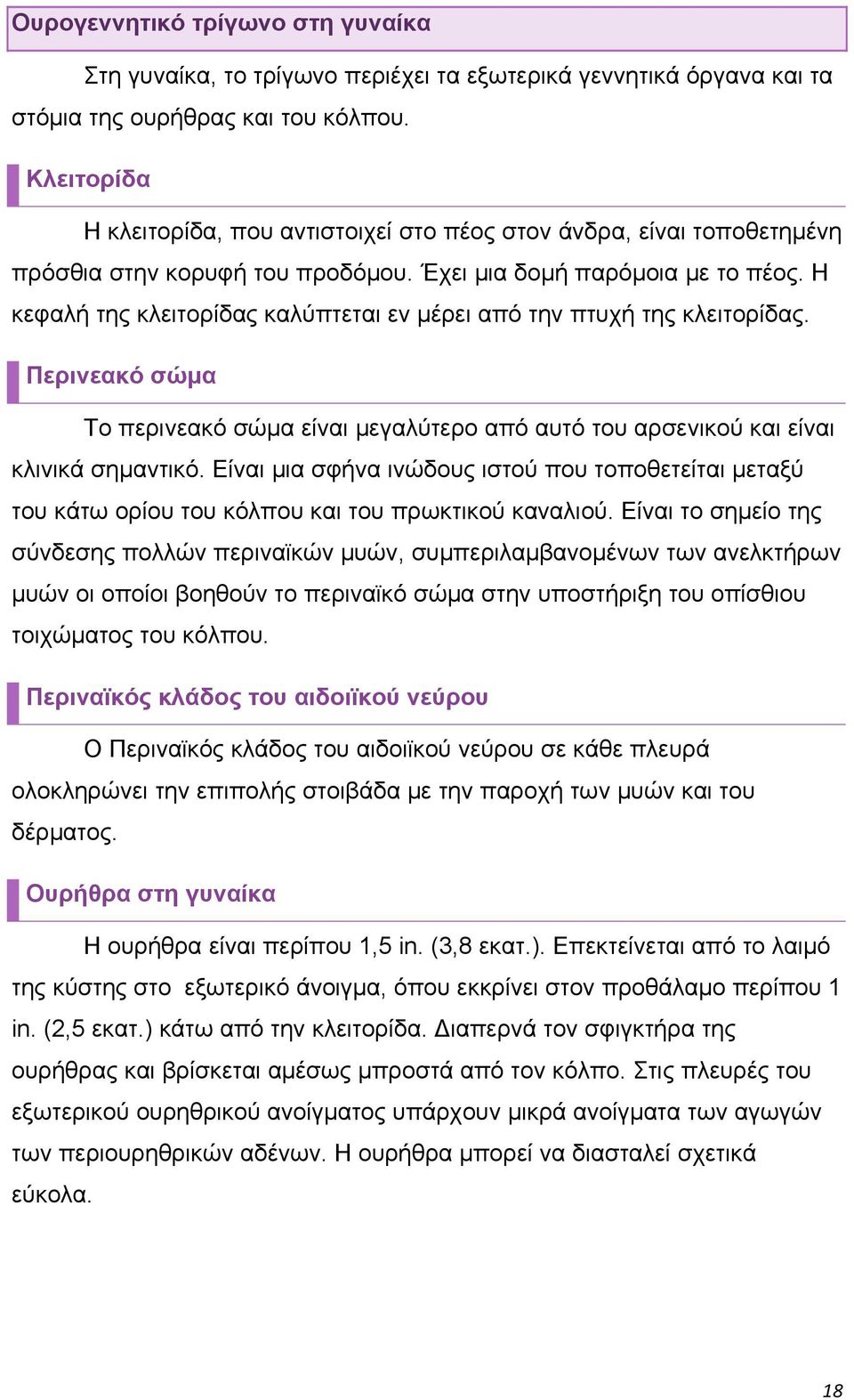 Η κεφαλή της κλειτορίδας καλύπτεται εν μέρει από την πτυχή της κλειτορίδας. Περινεακό σώμα Το περινεακό σώμα είναι μεγαλύτερο από αυτό του αρσενικού και είναι κλινικά σημαντικό.