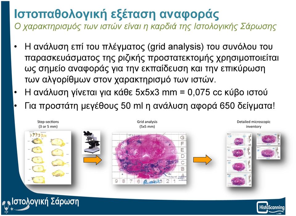 εκπαίδευση και την επικύρωση των αλγορίθµων στον χαρακτηρισµό των ιστών.