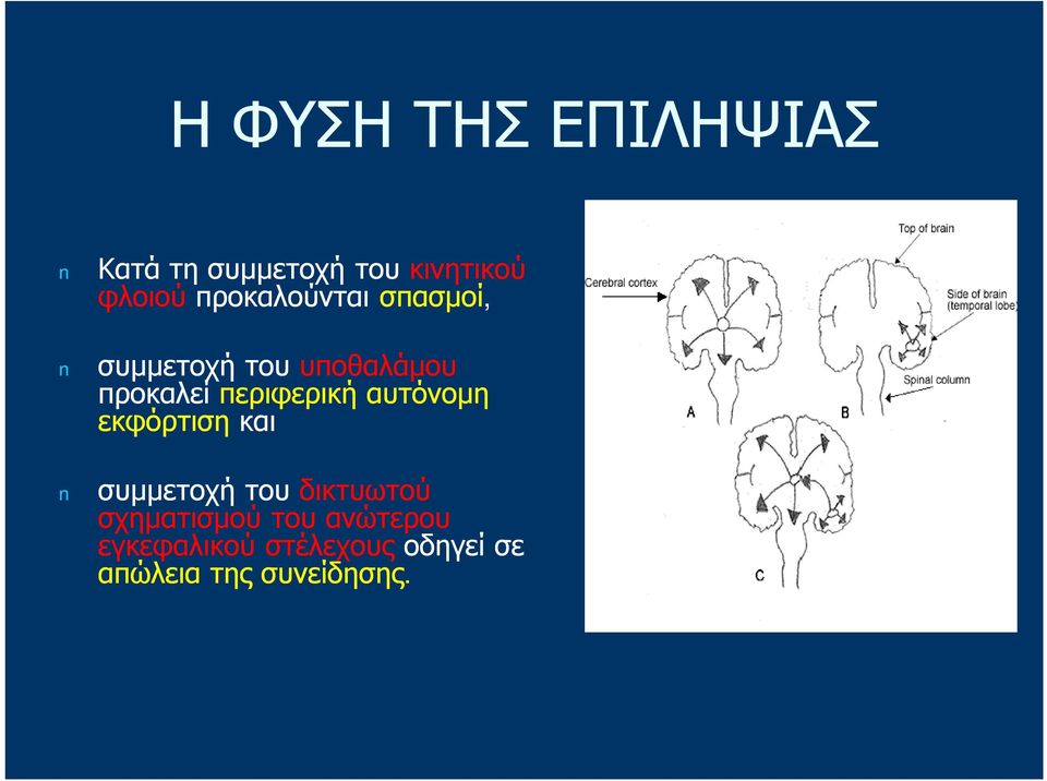 περιφερική αυτόνομη εκφόρτιση και συμμετοχή του δικτυωτού