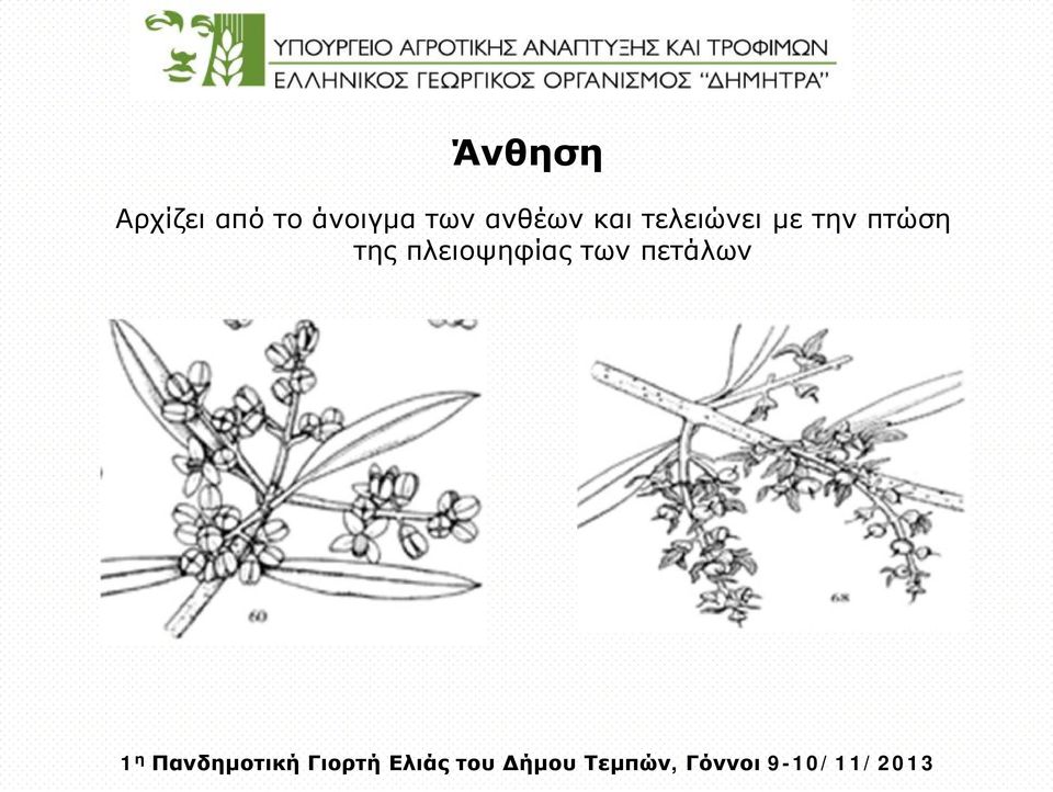 τελειώνει με την πτώση