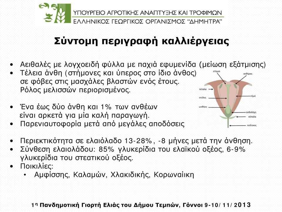 Ένα έως δύο άνθη και 1% των ανθέων είναι αρκετά για μία καλή παραγωγή.