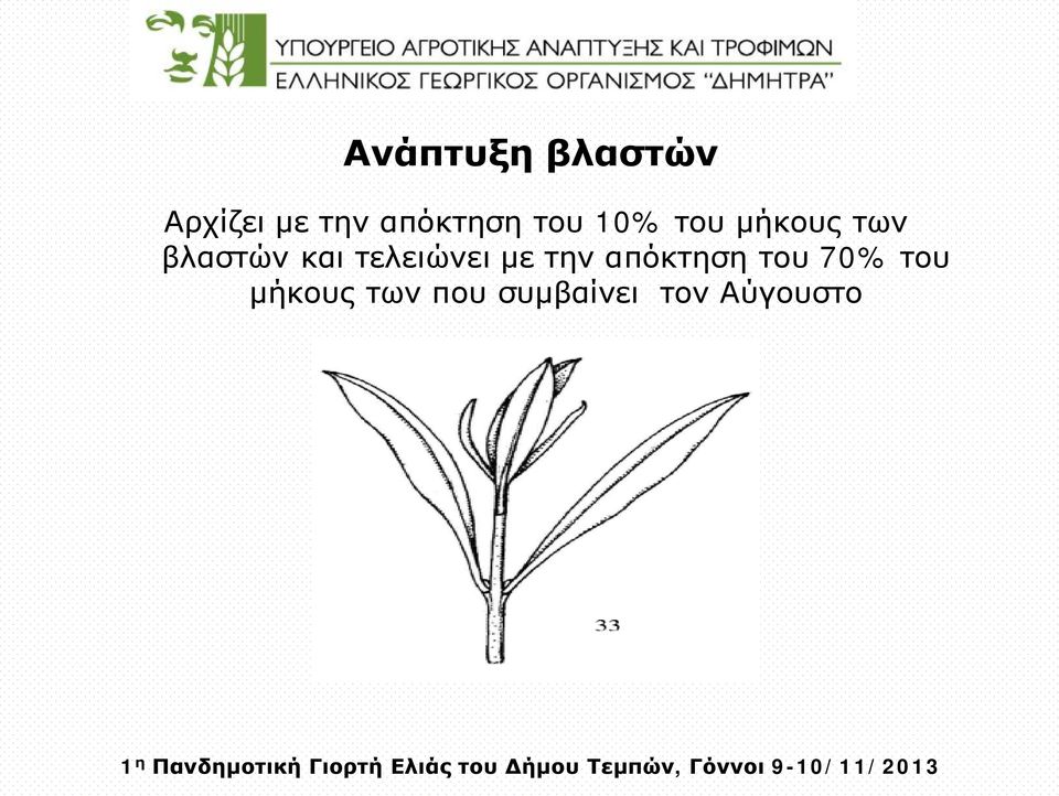 βλαστών και τελειώνει με την απόκτηση