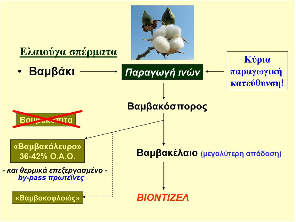 «Βαμβακάλευρο» 36-42% Ο.