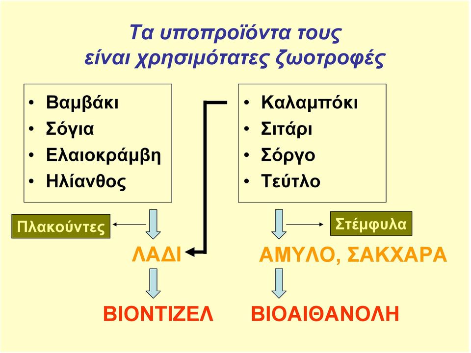 Ηλίανθος Καλαμπόκι Σιτάρι Σόργο Τεύτλο