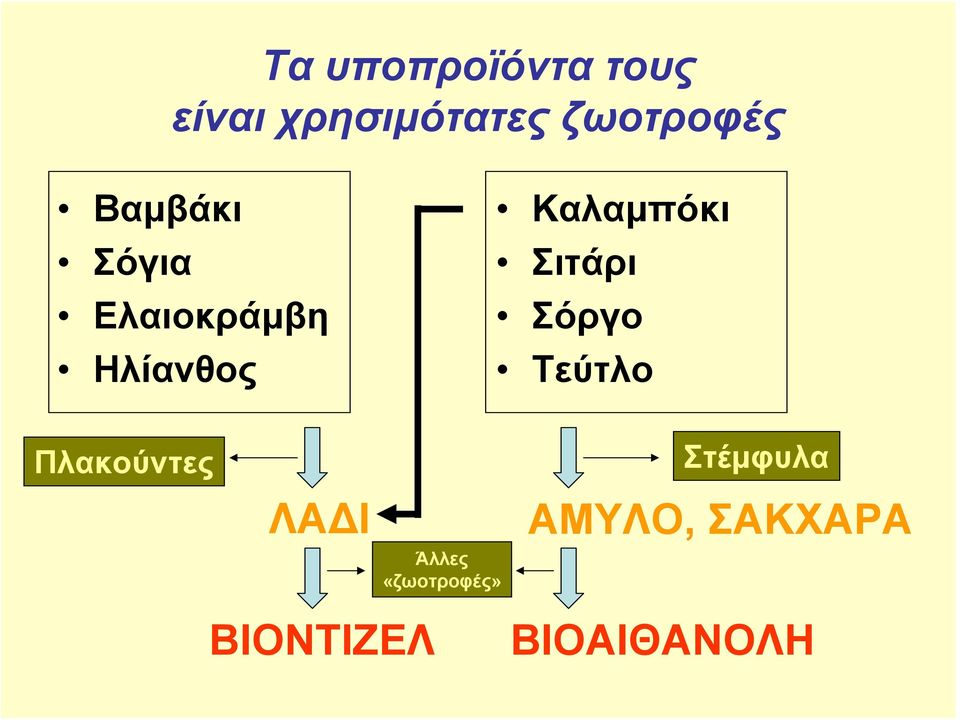 Σιτάρι Σόργο Τεύτλο Πλακούντες ΛΑΔΙ Άλλες