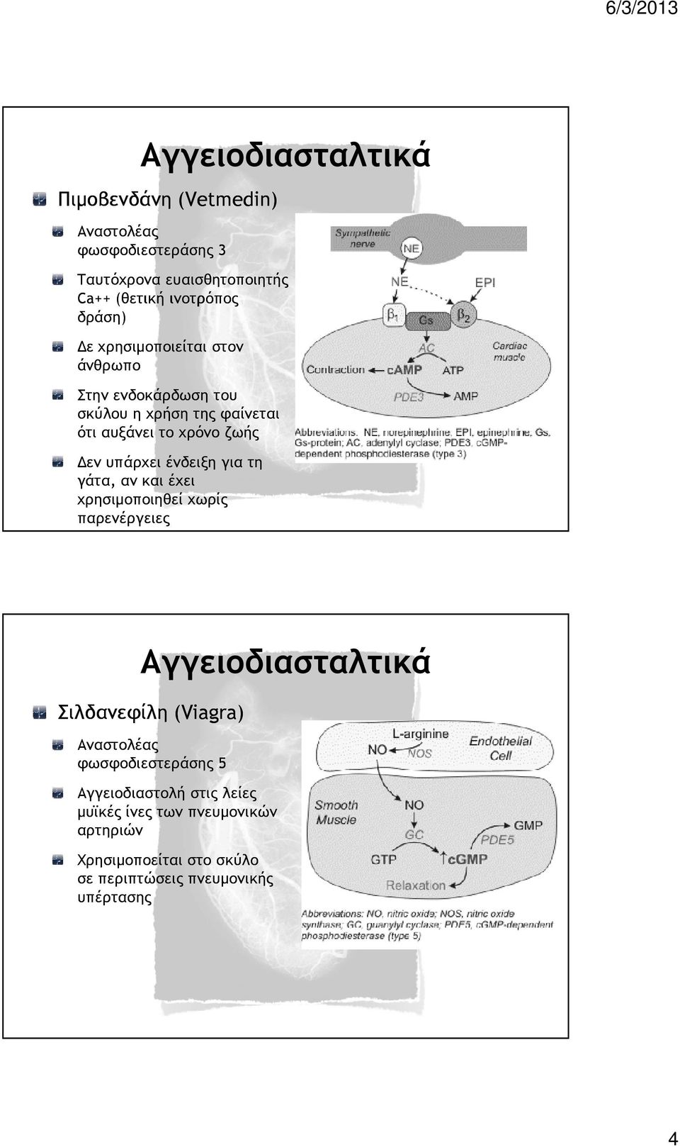 ένδειξη για τη γάτα, αν και έχει χρησιµοποιηθεί χωρίς παρενέργειες Αγγειοδιασταλτικά Σιλδανεφίλη (Viagra) Αναστολέας