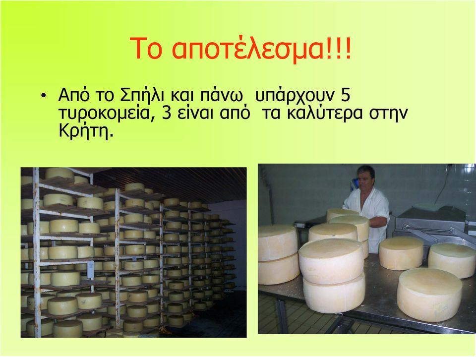 υπάρχουν 5 τυροκομεία, 3