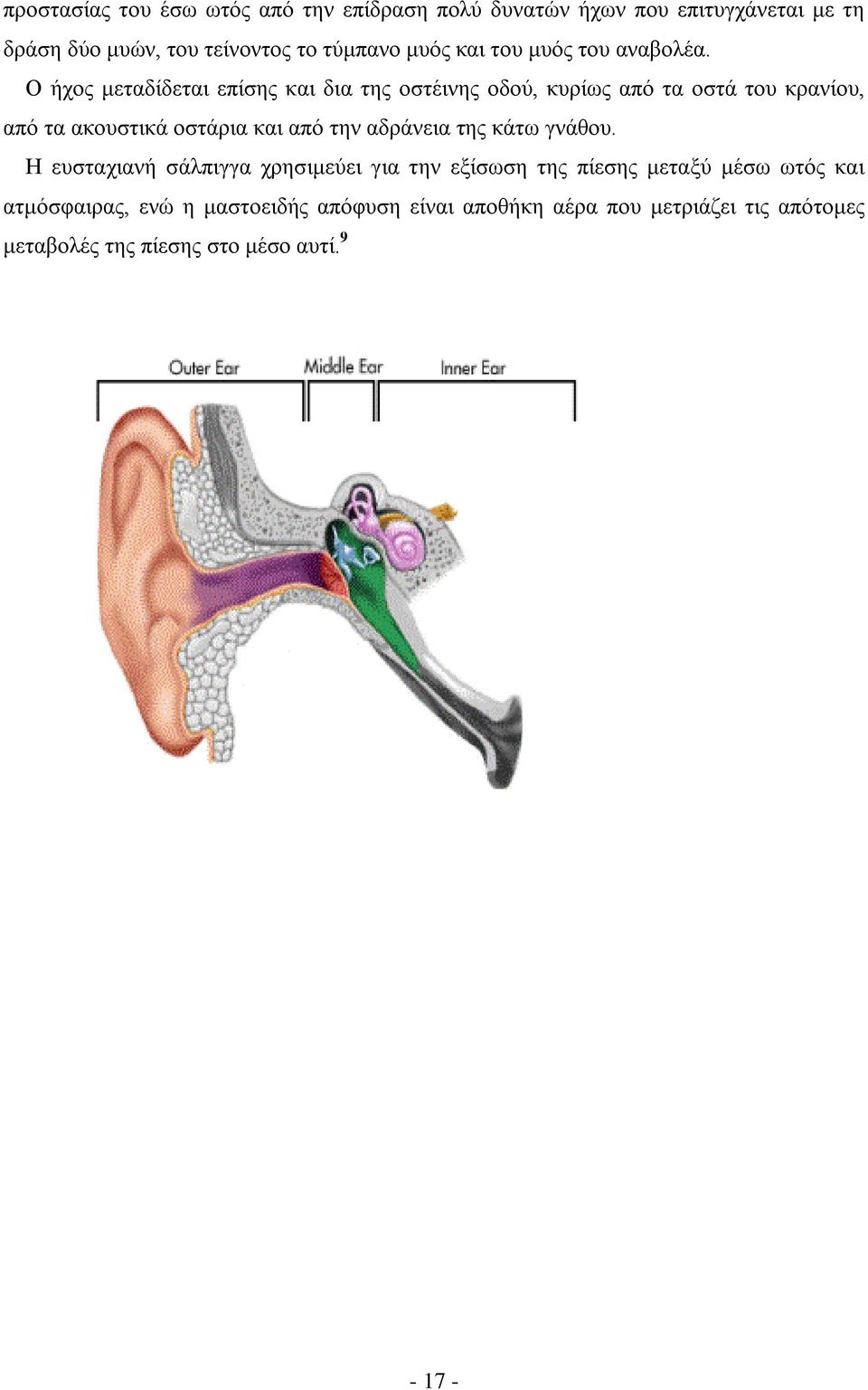 Ο ήχος μεταδίδεται επίσης και δια της οστέινης οδού, κυρίως από τα οστά του κρανίου, από τα ακουστικά οστάρια και από την