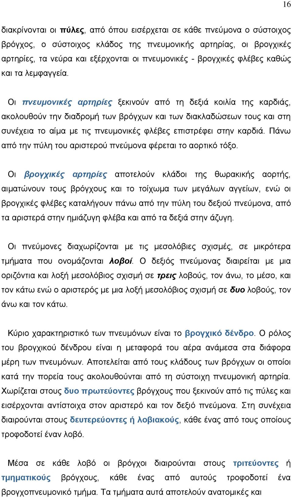 Οι πνευμονικές αρτηρίες ξεκινούν από τη δεξιά κοιλία της καρδιάς, ακολουθούν την διαδρομή των βρόγχων και των διακλαδώσεων τους και στη συνέχεια το αίμα με τις πνευμονικές φλέβες επιστρέφει στην