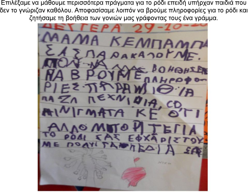 Αποφασίσαμε λοιπόν να βρούμε πληροφορίες για το ρόδι