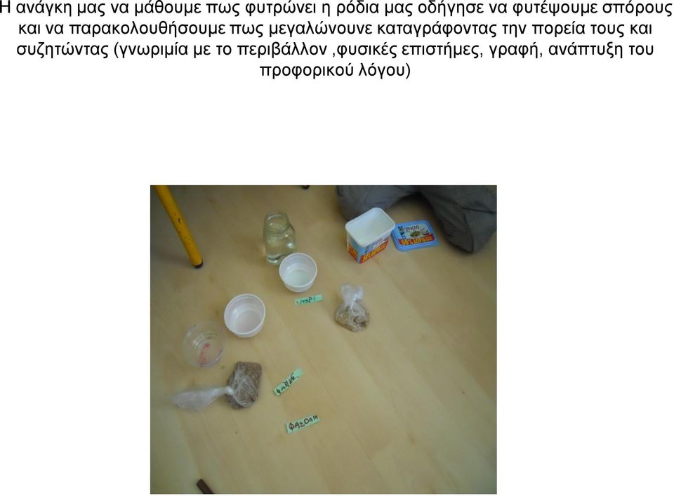 καταγράφοντας την πορεία τους και συζητώντας (γνωριμία με το
