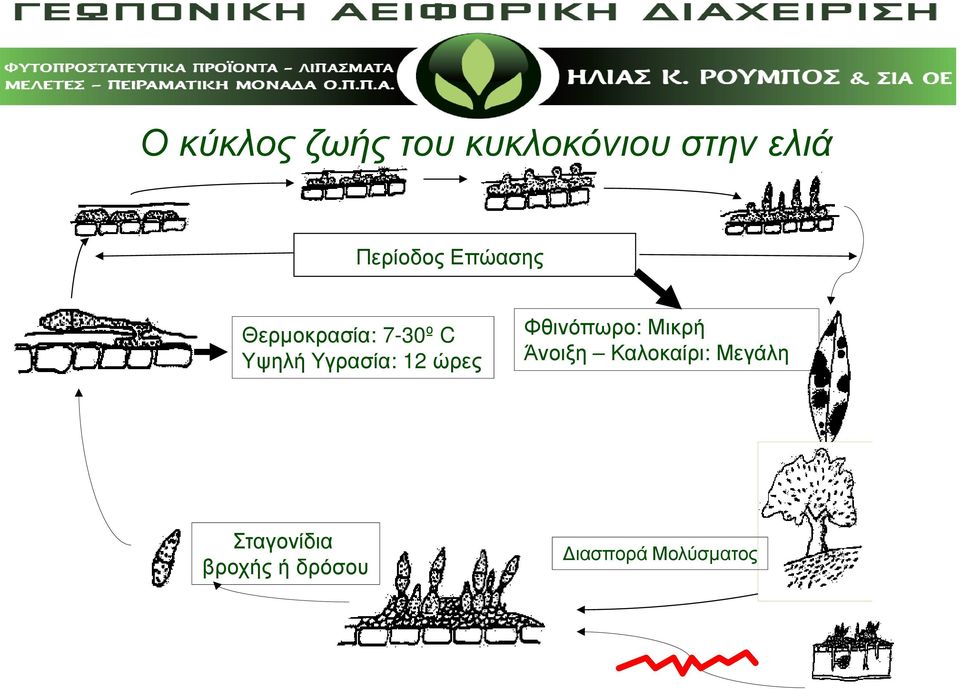 Υγρασία: 12 ώρες Φθινόπωρο: Μικρή Άνοιξη