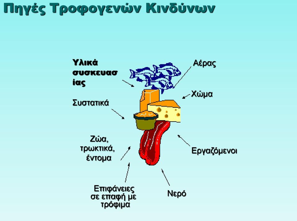 Ζώα, τρωκτικά, έντομα Εργαζόμενοι