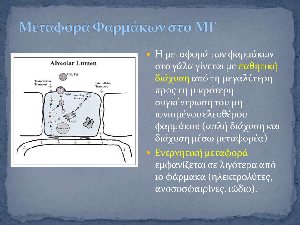 φαρμϊκου (απλό διϊχυςη και διϊχυςη μϋςω μεταφορϋα) Ενεργητικό μεταφορϊ