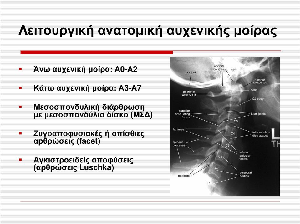 µε µεσοσπονδύλιο δίσκο (ΜΣ ) Ζυγοαποφυσιακές ή οπίσθιες