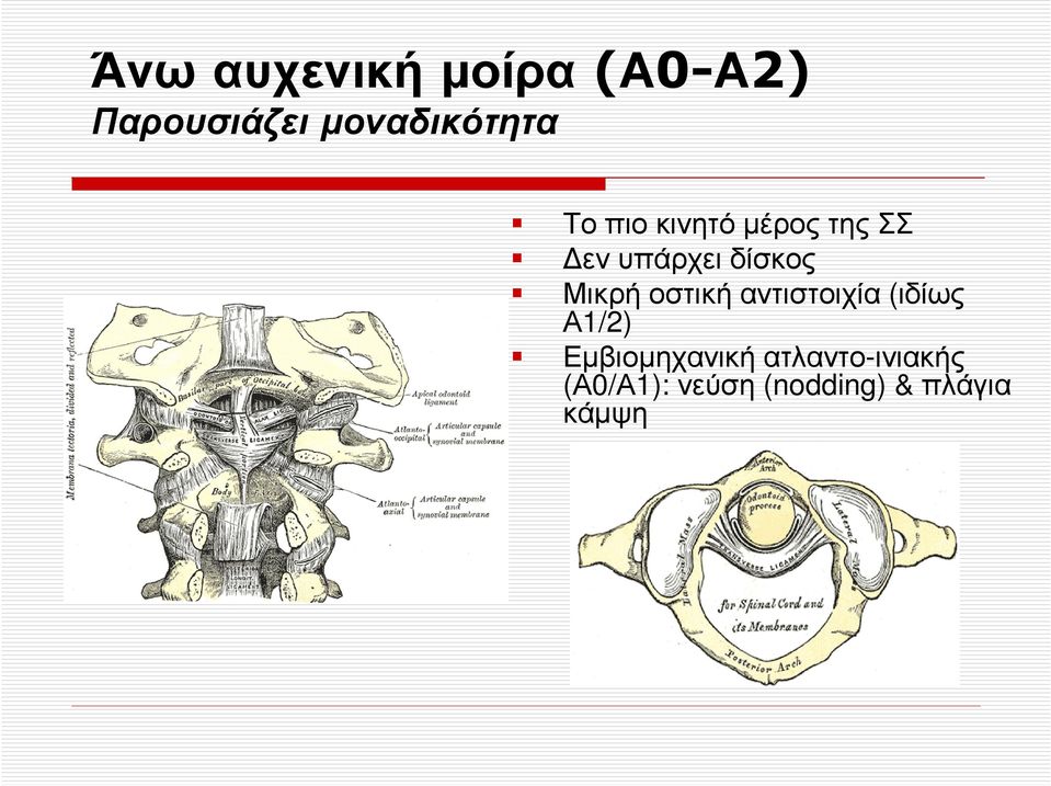 δίσκος Μικρή οστική αντιστοιχία (ιδίως Α1/2)