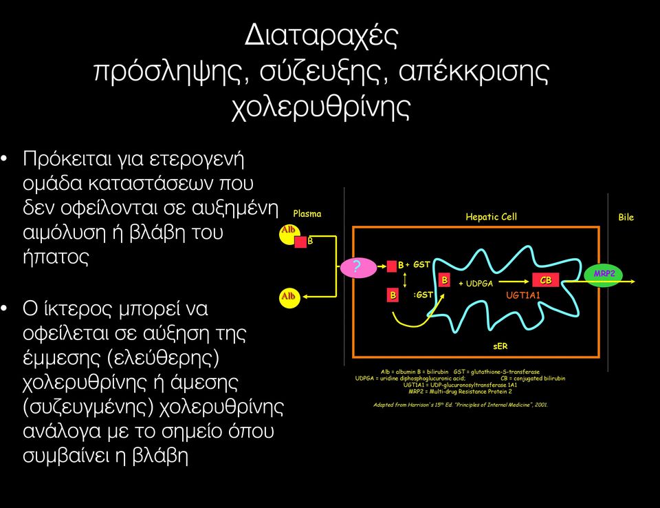 Hepatic Cell Bile B?