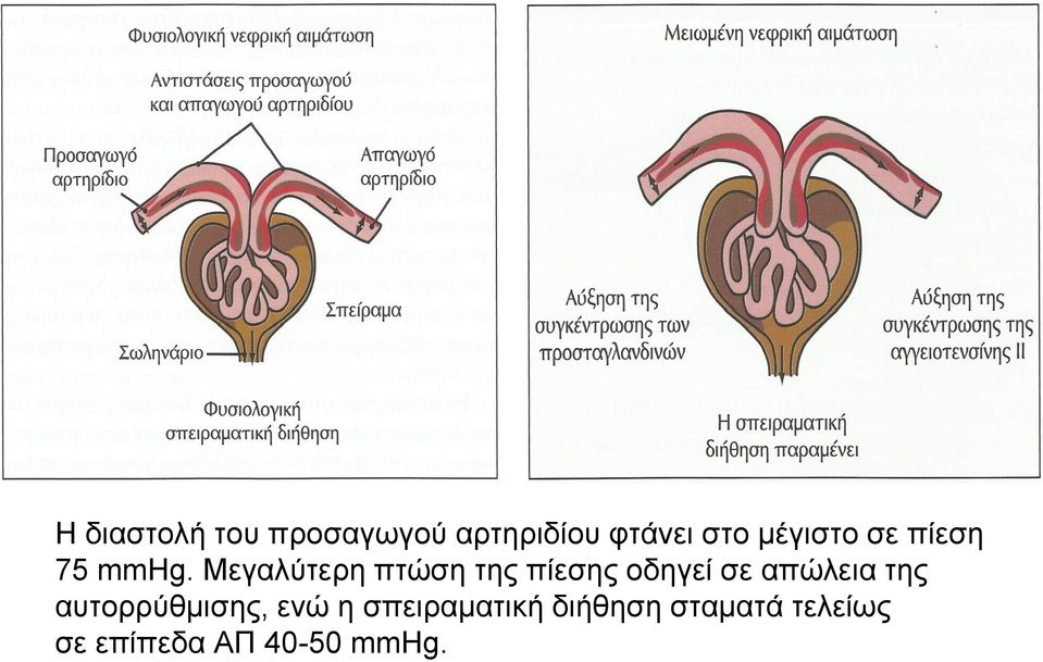 Μεγαλύτερη πτώση της πίεσης οδηγεί σε απώλεια της