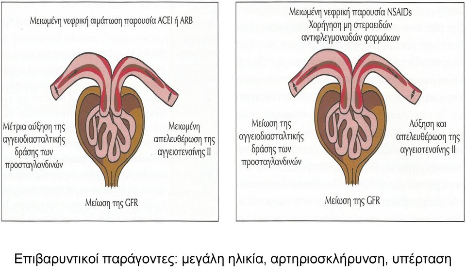 μεγάλη ηλικία,