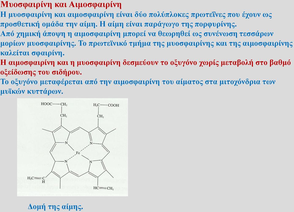 Το πρωτεϊνικό τμήμα της μυοσφαιρίνης και της αιμοσφαιρίνης καλείται σφαιρίνη.