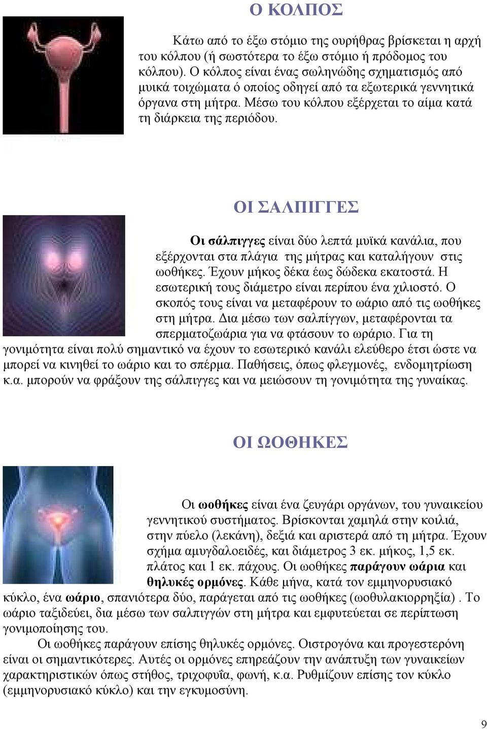 ΟΙ ΣΑΛΠΙΓΓΕΣ Οι σάλπιγγες είναι δύο λεπτά µυϊκά κανάλια, που εξέρχονται στα πλάγια της µήτρας και καταλήγουν στις ωοθήκες. Έχουν µήκος δέκα έως δώδεκα εκατοστά.