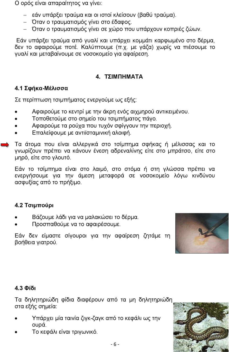 ΤΣΙΜΠΗΜΑΤΑ 4.1 Σφήκα-Μέλισσα Σε περίπτωση τσιμπήματος ενεργούμε ως εξής: Αφαιρούμε το κεντρί με την άκρη ενός αιχμηρού αντικειμένου. Τοποθετούμε στο σημείο του τσιμπήματος πάγο.