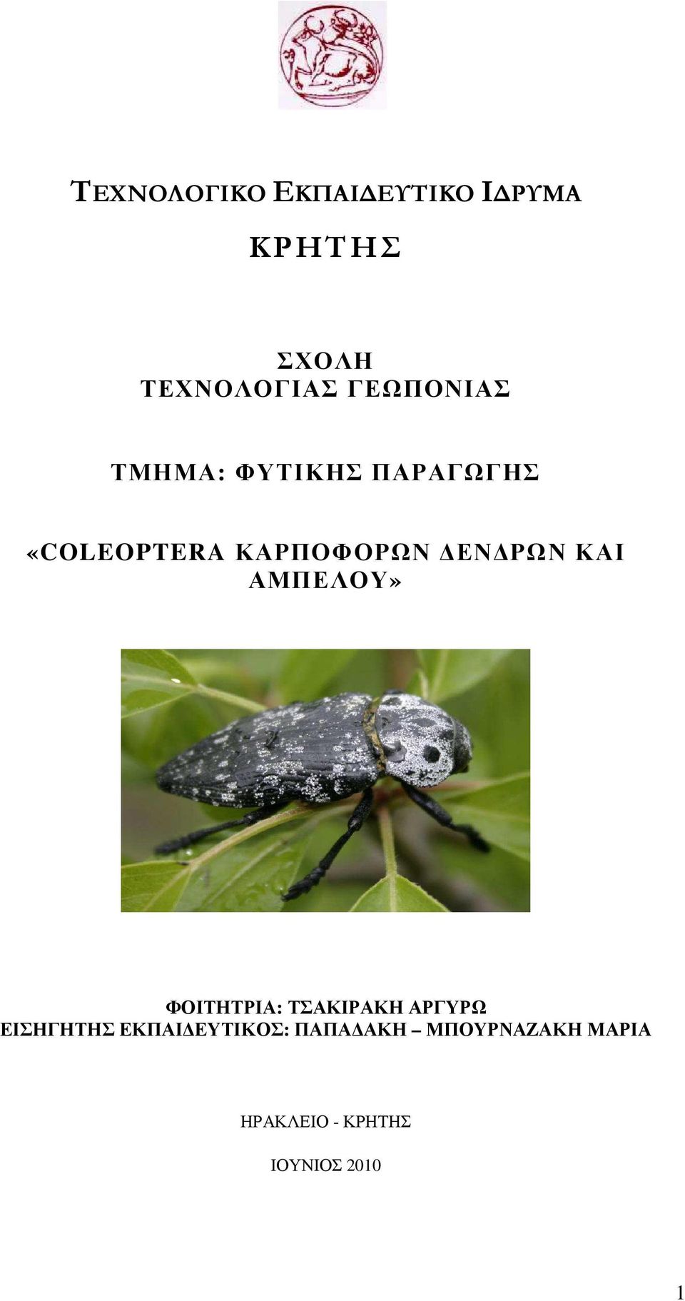 ΡΩΝ ΚΑΙ ΑΜΠΕΛΟΥ» ΦΟΙΤΗΤΡΙΑ: ΤΣΑΚΙΡΑΚΗ ΑΡΓΥΡΩ ΕΙΣΗΓΗΤΗΣ ΕΚΠΑΙ