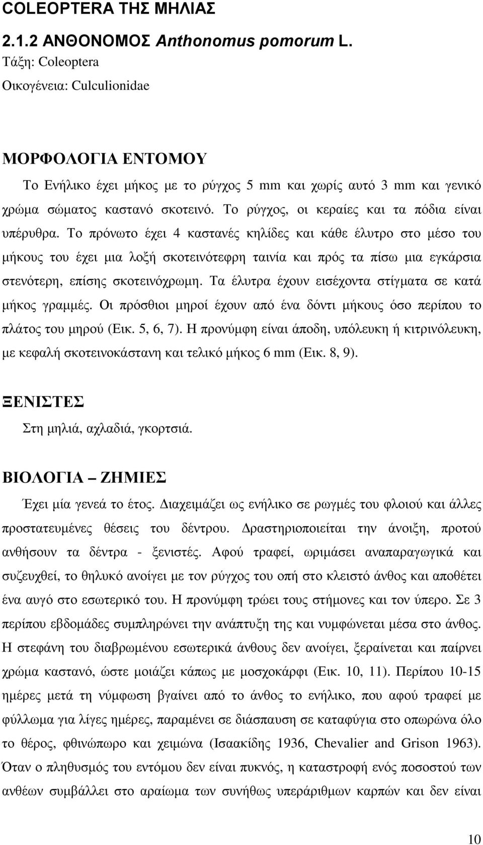 Το ρύγχος, οι κεραίες και τα πόδια είναι υπέρυθρα.