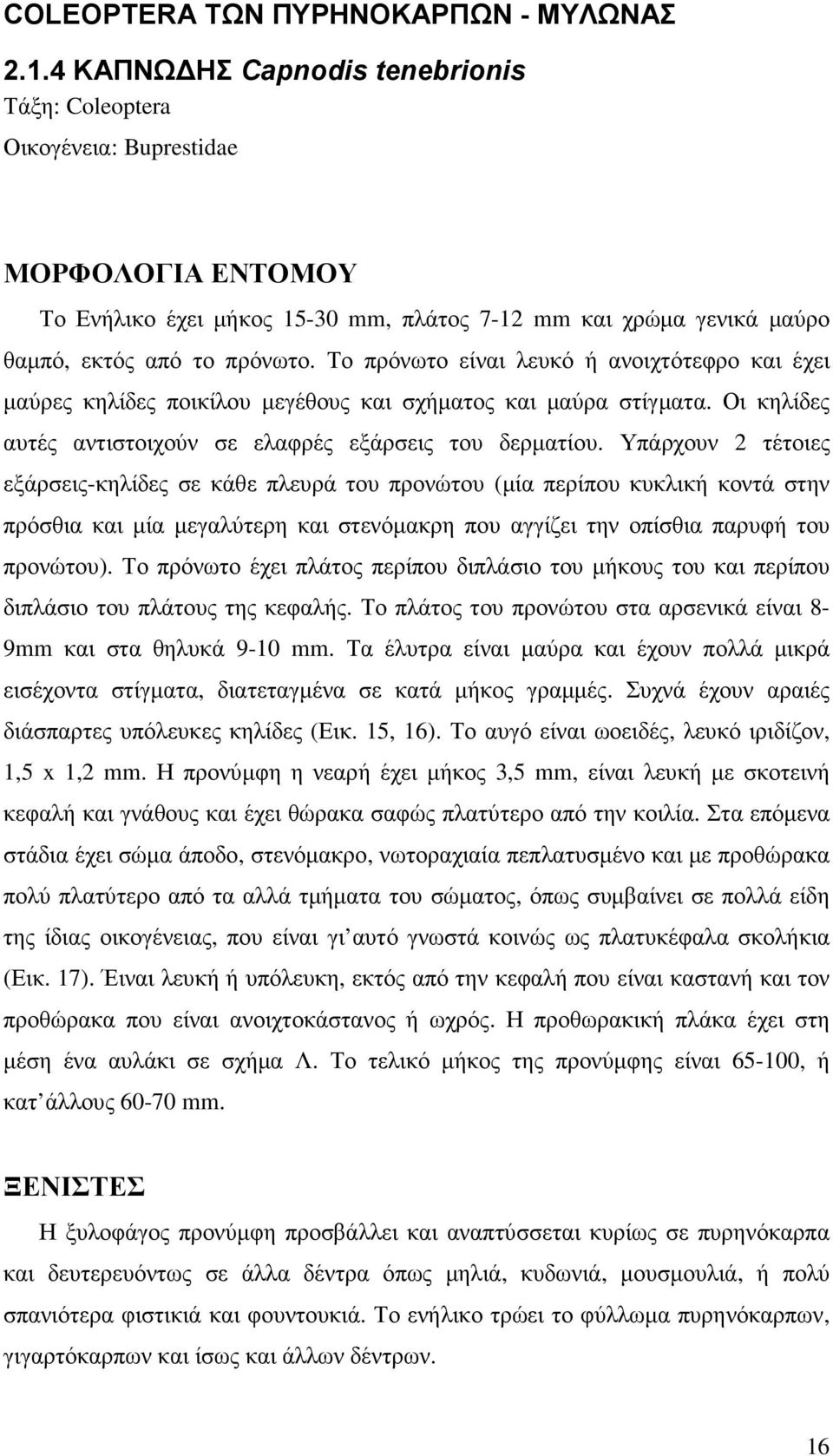 Το πρόνωτο είναι λευκό ή ανοιχτότεφρο και έχει µαύρες κηλίδες ποικίλου µεγέθους και σχήµατος και µαύρα στίγµατα. Οι κηλίδες αυτές αντιστοιχούν σε ελαφρές εξάρσεις του δερµατίου.