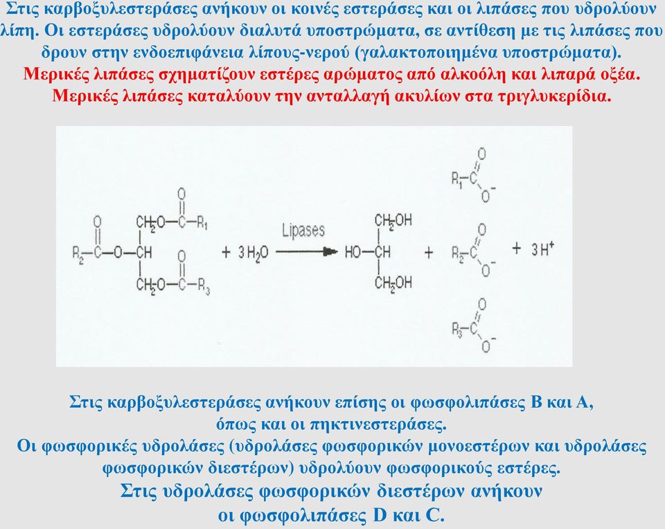 Μερικές λιπάσες σχηματίζουν εστέρες αρώματος από αλκοόλη και λιπαρά οξέα. Μερικές λιπάσες καταλύουν την ανταλλαγή ακυλίων στα τριγλυκερίδια.