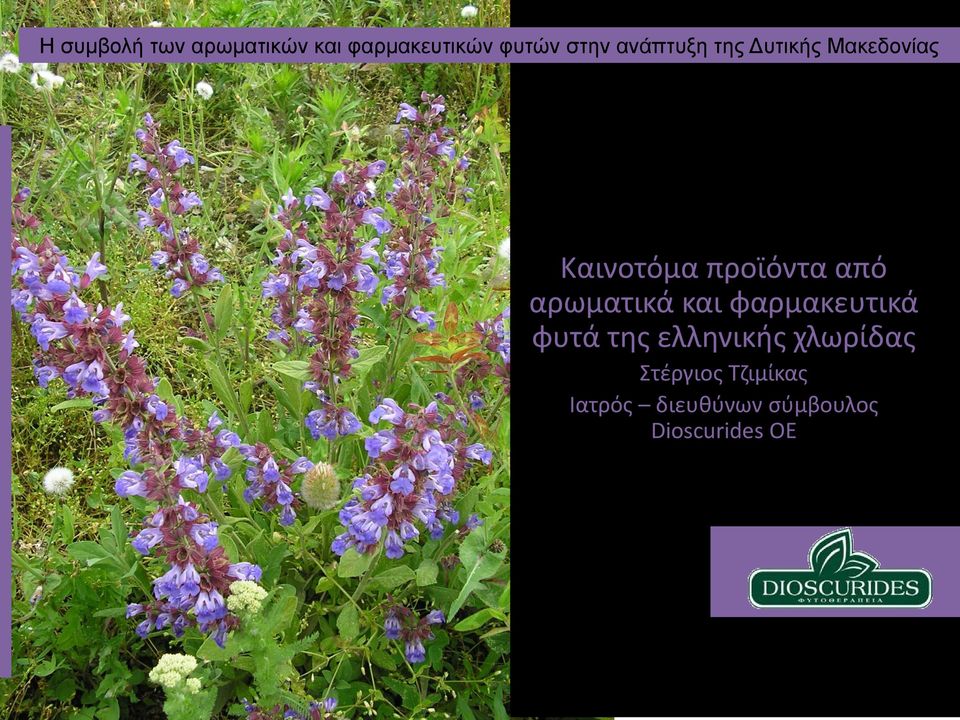 αρωματικά και φαρμακευτικά φυτά της ελληνικής χλωρίδας