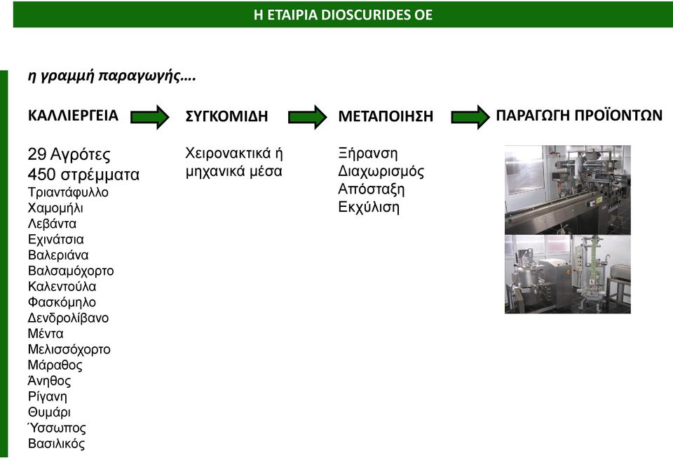 Τριαντάφυλλο Χαμομήλι Λεβάντα Εχινάτσια Βαλεριάνα Βαλσαμόχορτο Καλεντούλα Φασκόμηλο