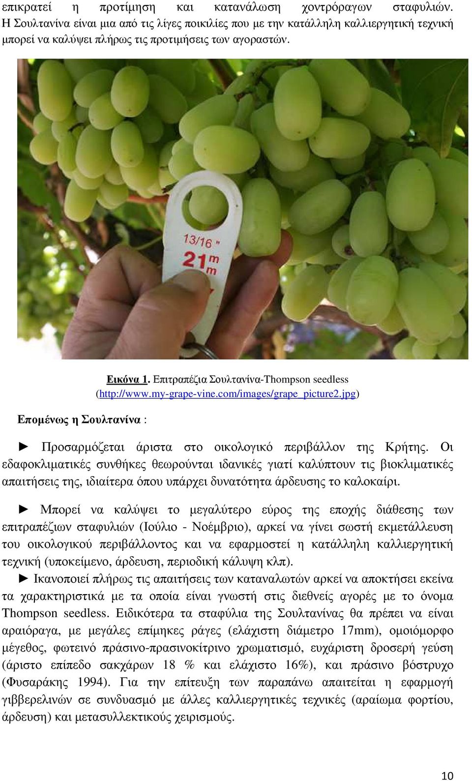 Επιτραπέζια Σουλτανίνα-Thompson seedless (http://www.my-grape-vine.com/images/grape_picture2.jpg) Προσαρµόζεται άριστα στο οικολογικό περιβάλλον της Κρήτης.