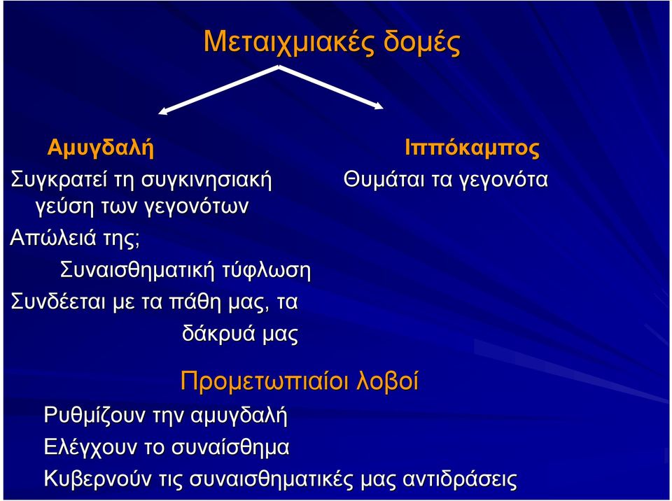 τα δάκρυά μας Ιππόκαμπος Θυμάται τα γεγονότα Προμετωπιαίοι λοβοί