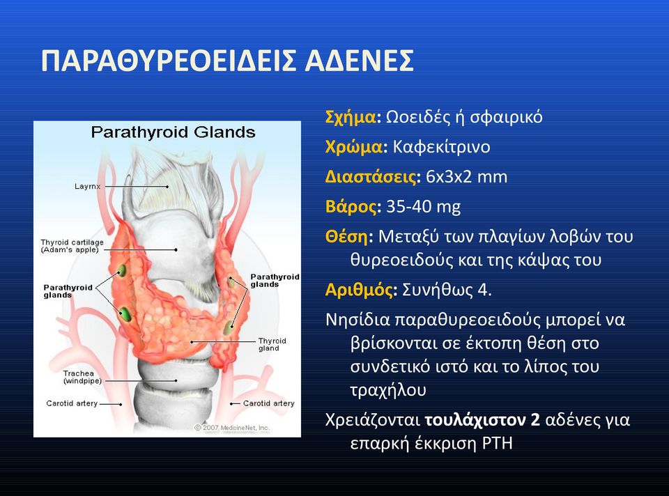 Αριθμός: Συνήθως 4.