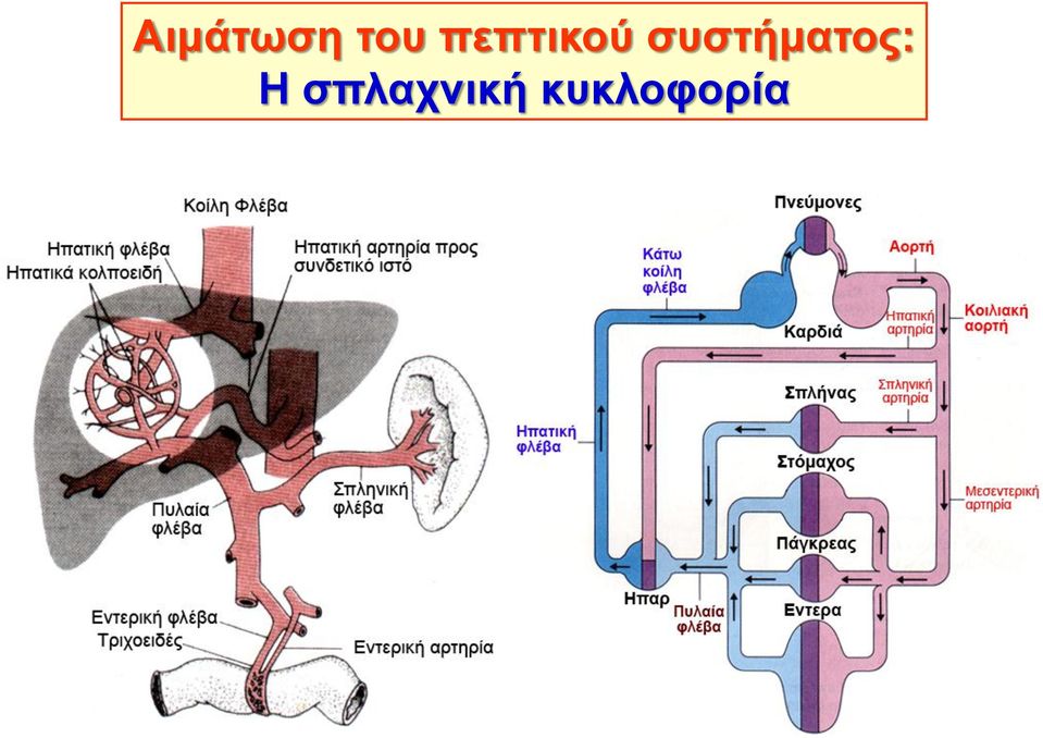 συστήματος: Η