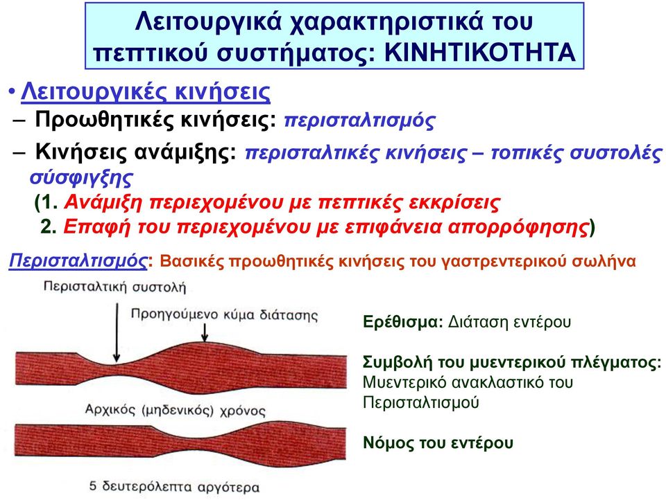 Ανάμιξη περιεχομένου με πεπτικές εκκρίσεις 2.