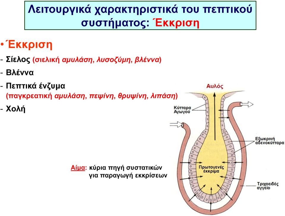 Βλέννα - Πεπτικά ένζυμα (παγκρεατική αμυλάση, πεψίνη,