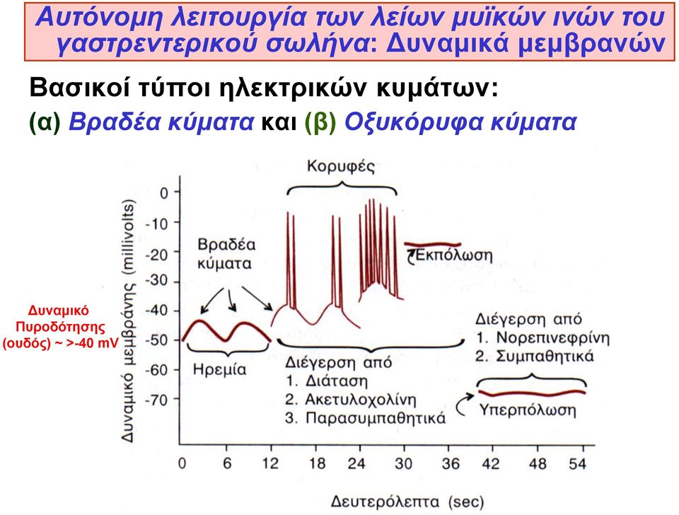 τύποι ηλεκτρικών κυμάτων: (α) Βραδέα κύματα και