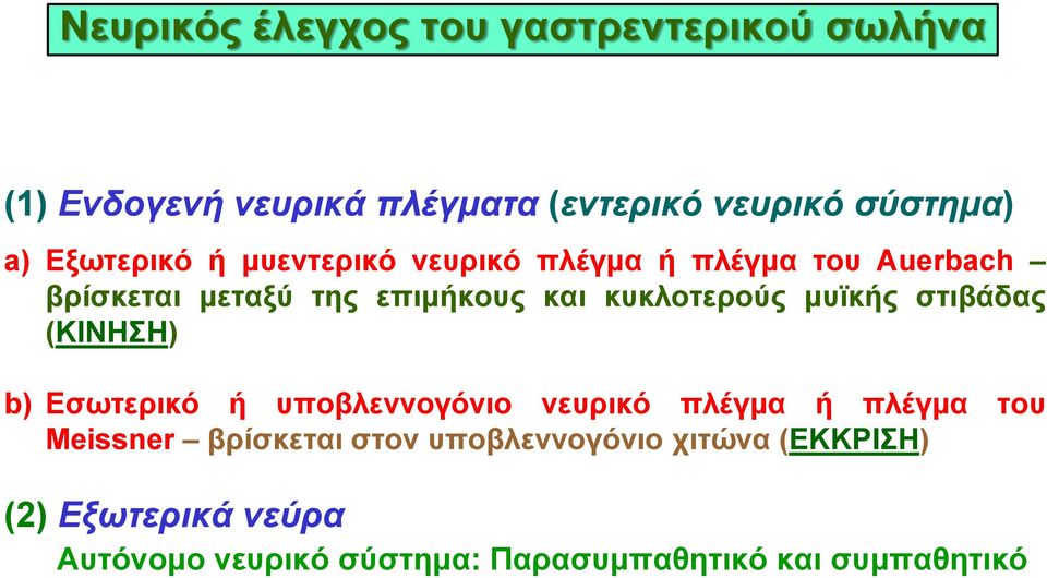 μυϊκής στιβάδας (ΚΙΝΗΣΗ) b) Εσωτερικό ή υποβλεννογόνιο νευρικό πλέγμα ή πλέγμα του Meissner βρίσκεται στον