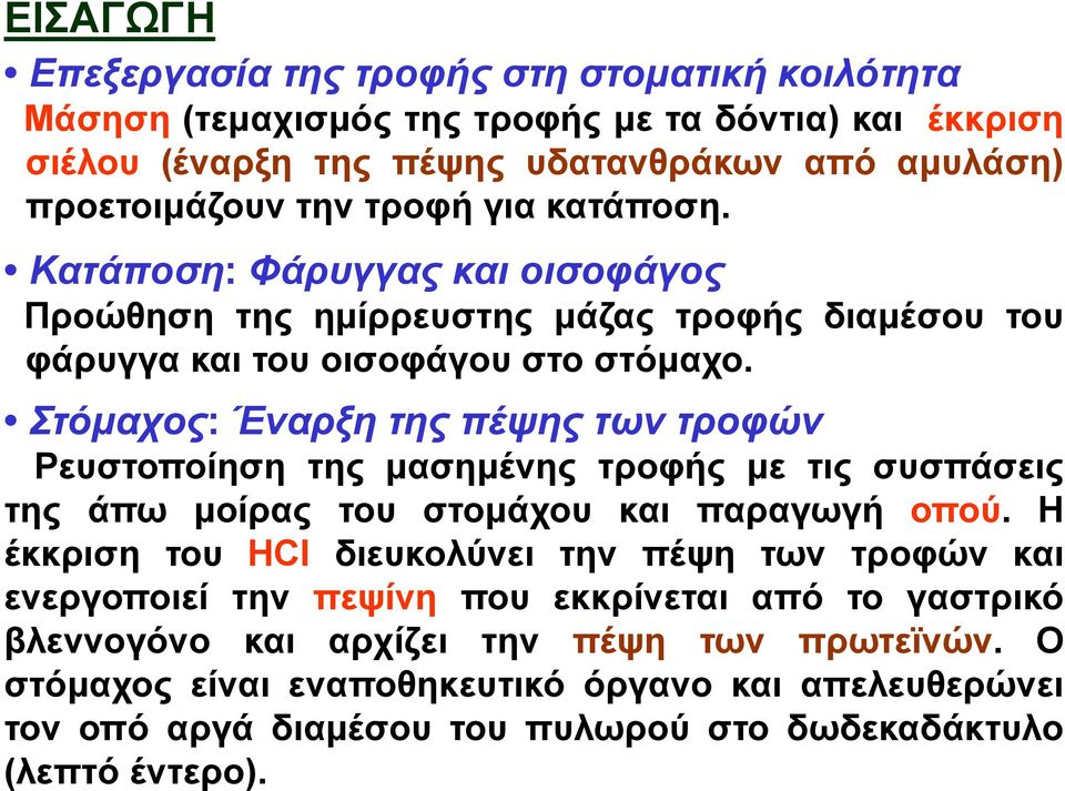 Στόμαχος: Έναρξη της πέψης των τροφών Ρευστοποίηση της μασημένης τροφής με τις συσπάσεις της άπω μοίρας του στομάχου και παραγωγή οπού.