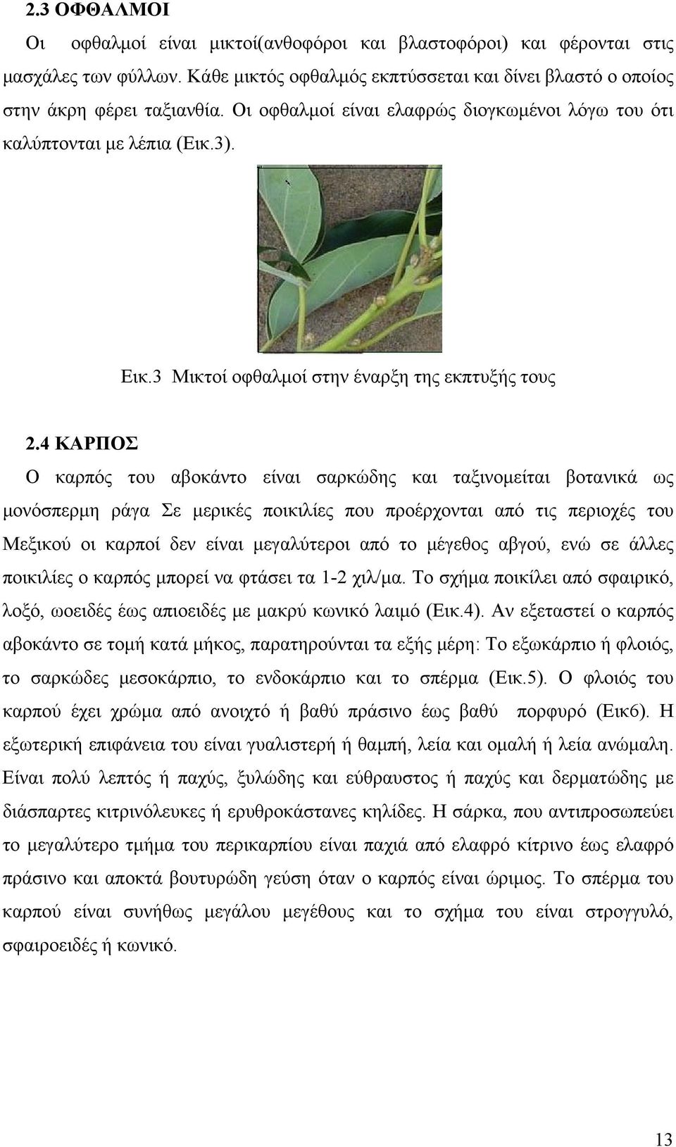 4 ΚΑΡΠΟΣ Ο καρπός του αβοκάντο είναι σαρκώδης και ταξινοµείται βοτανικά ως µονόσπερµη ράγα Σε µερικές ποικιλίες που προέρχονται από τις περιοχές του Μεξικού οι καρποί δεν είναι µεγαλύτεροι από το